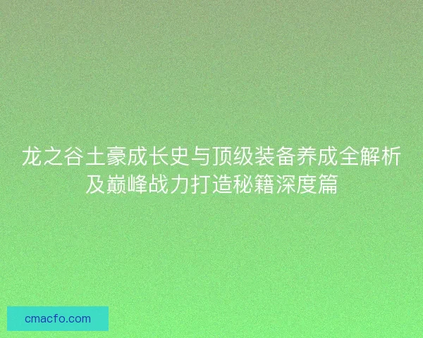 龙之谷土豪成长史与顶级装备养成全解析及巅峰战力打造秘籍深度篇